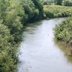 The King County Flood Control District provides funds to help protect properties from flooding along the Green River and other rivers in the county.