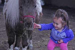 Kids play with ponies during Western Days at Reber Ranch