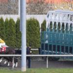 The field leaves the gate in the first race at 5½ furlongs. RACHEL CIAMPI, Reporter