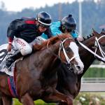 Barkley is one of the top Thoroughbreds returning to Emerald Downs this season. Barkley, with Javier Matias in the saddle, left, beat archrival Mach One Rules, with rider Leslie Mawing, in the final jump for a head victory in last year&rsquo;s $50,000 Seattle Slew Stakes. COURTESY PHOTO, Emerald Downs