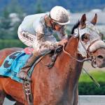 Stryker Phd, with Leslie Mawing up, captures $50,000 Budweiser Handicap at Emerald Downs in 2014. The Washington-bred horse goes to the post in Saturday&rsquo;s $100,000 San Francisco Mile at Golden Gate Fields. COURTESY PHOTO, Emerald Downs