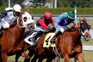 Keller’s Gold pulls upset in $20,500 feature race | Emerald Downs