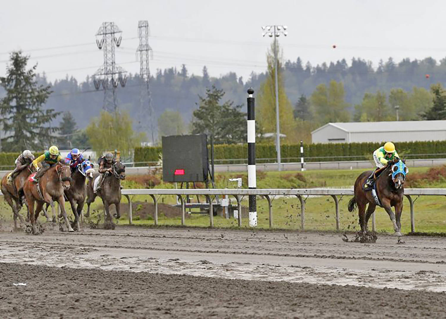 Invested Prospect dominated the field, romping to a five-length victory in Sunday&rsquo;s $21,500 allowance feature for older fillies and mares at Emerald Downs. COURTESY PHOTO