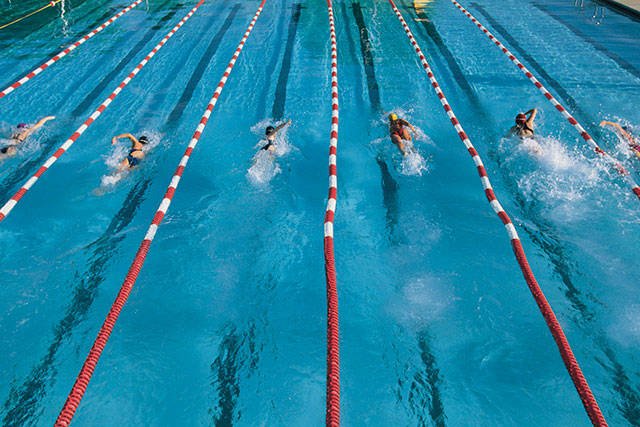 Kentwood swimmer receives Academic All-American honor