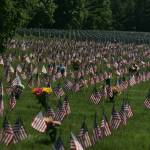 Memorial Day at Tahoma National Cemetery | Photo Gallery