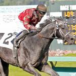Togrammashousewego, with Rocco Bowen up, captured Saturday&rsquo;s $20,500 allowance/optional claiming feature at Emerald Downs. COURTESY PHOTO, Emerald Downs