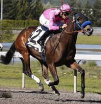 Unbeaten Alliford Bay heads $50,000 Kent Stakes | Emerald Downs