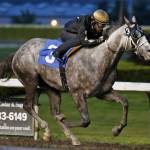 Capital Expense splashes to victory in feature | Emerald Downs