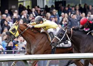 Sharkzilla charges home in Auburn Stakes | Emerald Downs