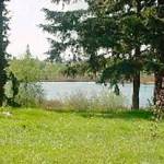 Kent’s Clark Lake Park closes after bear sighting