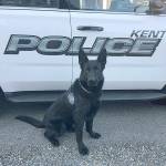 Kent Police add new dog