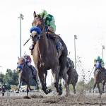 Juan Gutierrez drives Top Quality to victory in the $50,000 Irish Day Stakes for 3-year-old fillies Sunday at Emerald Downs. COURTESY PHOTO
