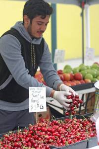 Kent Farmers Market opens for a new season | PHOTOS
