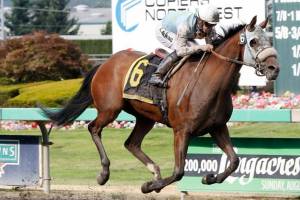 Stryker Phd returns in Budweiser Stakes | Emerald Downs