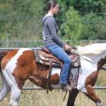 Amy Randall guides Jewel around the arena. The Boeing Employee Saddle Club Performance Horse Show comes to Reber Ranch on July 30. COURTESY PHOTO