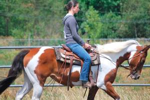 Reber Ranch awaits Boeing Employee Saddle Club Performance Horse Show