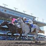 Aqua Frio (pink) and Riser race head-and-head in the Seattle Slew. Aqua Frio, with Kevin Orozco up, posted a head victory in the $50,000 stakes for 3-year-old colts and geldings on July 2. COURTESY PHOTO, Emerald Downs
