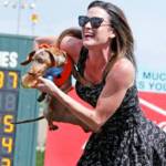 Booker, owned by Jaclyn Tucker of Seattle, took the Wiener Dog Final. COURTESY PHOTO, Emerald Downs