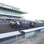 Secretly Fast (No. 6) holds off Lebron 6 (No. 2) to capture the Bank of America Emerald Championship Challenge for Quarter Horses at Emerald Downs on Sunday. COURTESY TRACK PHOTO