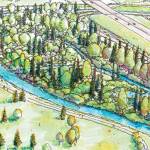 Kent to receive $1 million for salmon restoration, flood protection