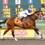 Mike Man’s Gold set for Washington Cup | Emerald Downs