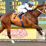 Mike Man’s Gold set for Washington Cup | Emerald Downs