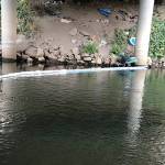 Green River spill in Kent remains a mystery