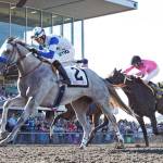 Wright soaring as top trainer at Emerald Downs