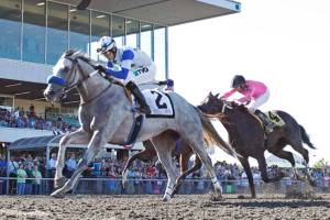 Wright soaring as top trainer at Emerald Downs