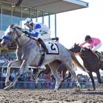 Big day for Emerald horses in Canada