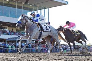Big day for Emerald horses in Canada