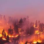 Smoke from wildfires fills Kent skies