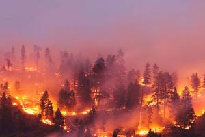 Smoke from wildfires fills Kent skies