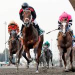 $65,000 Joe Gottstein Futurity caps season | Emerald Downs