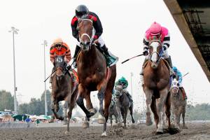 $65,000 Joe Gottstein Futurity caps season | Emerald Downs
