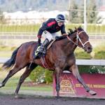 Jennifer Whitaker guides Elliott Bay to a 1½-length victory Sunday in the $95,000 Gottstein Futurity on closing day at Emerald Downs. COURTESY TRACK PHOTO