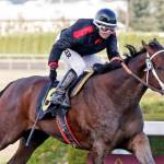 Elliott Bay prevails in closing-day Gottstein | Emerald Downs