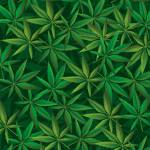 State officials meet with DOJ to discuss marijuana policy