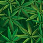State officials meet with DOJ to discuss marijuana policy