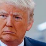 The survival of the world could be at stake | Elfers