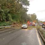 Wind blows down a tree Wednesday afternoon in the 13200 block of Tukwila International Boulevard and caused a minor injury. Courtey Photo, City of Tukwila