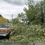 Tree falls into truck during Kent windstorm