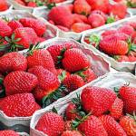 Kent to get large, indoor organic produce farm