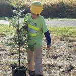 Volunteers planted more than 900 native plants, creating a forested buffer between the Puget Power Trail near the Green River Natural Area during Green Kent Day on Oct. 28. COURTESY PHOTO, Matt Mega