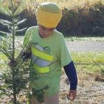 Green City Days break records