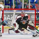 Giants climb past Thunderbirds in overtime | WHL | VIDEO