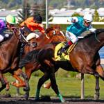 Crofoot named track superintendent at Emerald Downs