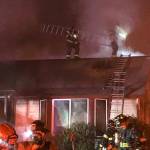 Three adults, two dogs escape house fire