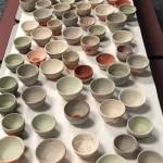 Academy Schools partners with Northwest Harvest to help end hunger