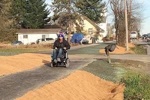 Kent gets another grant to extend new 132nd Avenue pedestrian path